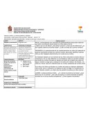 Plneciiones ¿Quiénes somos?