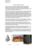 Resumen: Prehistoria e Historia