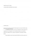 TRABAJO FINAL DE CURSO ANÁLISIS CRÍTICO-DESCRIPTIVO DEL MACBA