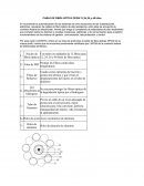 CABLE DE FIBRA OPTICA OPGW 12,24,36 y 48 hilos