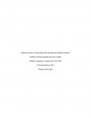 Caracteristicas del Mercado de Capitales Chilenos.