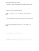 ¿Por qué los diseñadores de la política económica deben tomar en cuenta los incentivos?