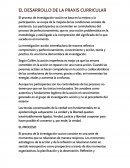 Que es El desarrollo de la praxis curricular