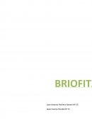 Briofitas on organismos eucariotas fotosintéticos de vida terrestre