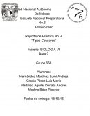 Practica tincion de gram