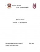 Tema de ensayo La Sal en la Tierra