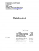 PLAN DE TRABAJO TEMA Maltrato Animal