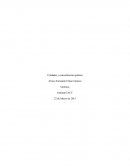 Unidades y concentración química