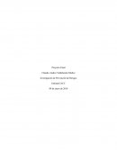 Descripción, caso real en el sector de la minería, incidente grave con días perdidos.