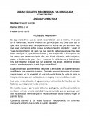 Ensayo: el medio ambiente