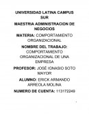 COMPORTAMIENTO ORGANIZACIONAL DE UNA EMPRESA