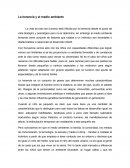 Un Factor ambiente y genetico Gennie la Niña Salvaje