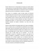 Como son las Discapacidades del lenguaje