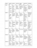 Empredimiento tortillas