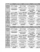 Informes de Documento de rubricas