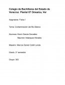 Contaminación del Rio Blanco