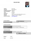 HOJA DE VIDA: CURRICULUM