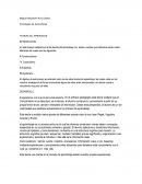 Como son las Teorias de aprendizaje