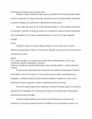 Descripción de la fabricación de nuestras tortas