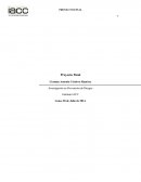 Proyecto Final Investigación de Accidentes