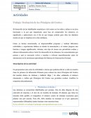 Evaluación de los Principios del Conteo