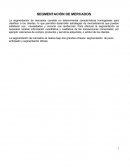 SEGMENTACIÓN DE MERCADOS RESULTADOS DE LA SEGMENTACIÓN