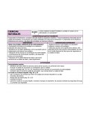 Planeacion 5 año primaria