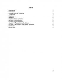 IMPACTO SOCIAL DE LOS FEMINICIDIOS EN EL ESTADO DE MÉXICO (anteproyecto). Página 2