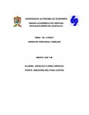 TEMA: “EL LITIGIO”