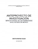 IMPACTO SOCIAL DE LOS FEMINICIDIOS EN EL ESTADO DE MÉXICO (anteproyecto)