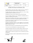 INSTRUCTIVO PARA EL MANEJO DE CANES
