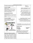 Historia natural del ebola. Factores