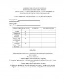 Examen bloque 4 tercer grado