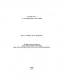 ORGANIZACIÓN DOCUMENTAL EN EL ENTORNO LABORAL EMPRESA PILOS S.A.