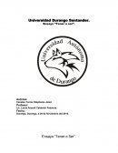 Tener o Ser. Mi opinión acerca de este libro de autoría de Erich Fromm de 1976