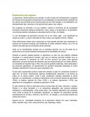 Explicación del negocio