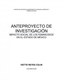 IMPACTO SOCIAL DE LOS FEMINICIDIOS EN EL ESTADO DE MÉXICO (anteproyecto). Página 1