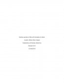 Sistema operativo Microsoft orientados al cliente.