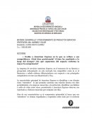 Análisis- Caso American Express