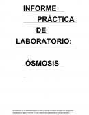 INFORME OSMOSIS