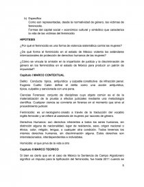 IMPACTO SOCIAL DE LOS FEMINICIDIOS EN EL ESTADO DE MÉXICO (anteproyecto). Página 5