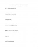 Practica 3: Centro de Gravedad