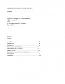 PLANIFICACIÓN DE UNA PROBLEMÁTICA