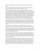 Proyecto Final Cree una situación ficticia de una Organización