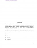 Proceso de Atencion de Enfermeria en la practica profesional