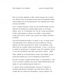 Ensayo de El Mundo de Sofía.