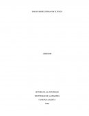 ENSAYO SOBRE GUERRA POR EL FUEGO.