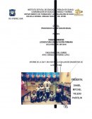 Aplicacion de Instrumentos acerca de los Procesos de Alfabetización Inicial