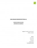 CASO ANALISIS FINACIERO EEFF SMU S.A.