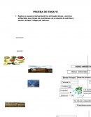 Economia de recursos naturales y desarrollo sostenible